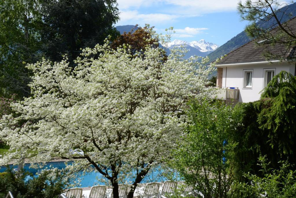 Hotel Tannerhof 메라노 외부 사진