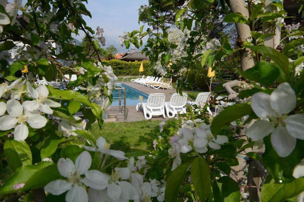 Hotel Tannerhof 메라노 외부 사진
